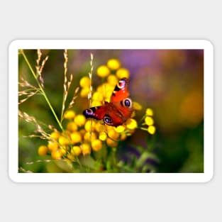 Autumnal Butterfly Poetry Sticker